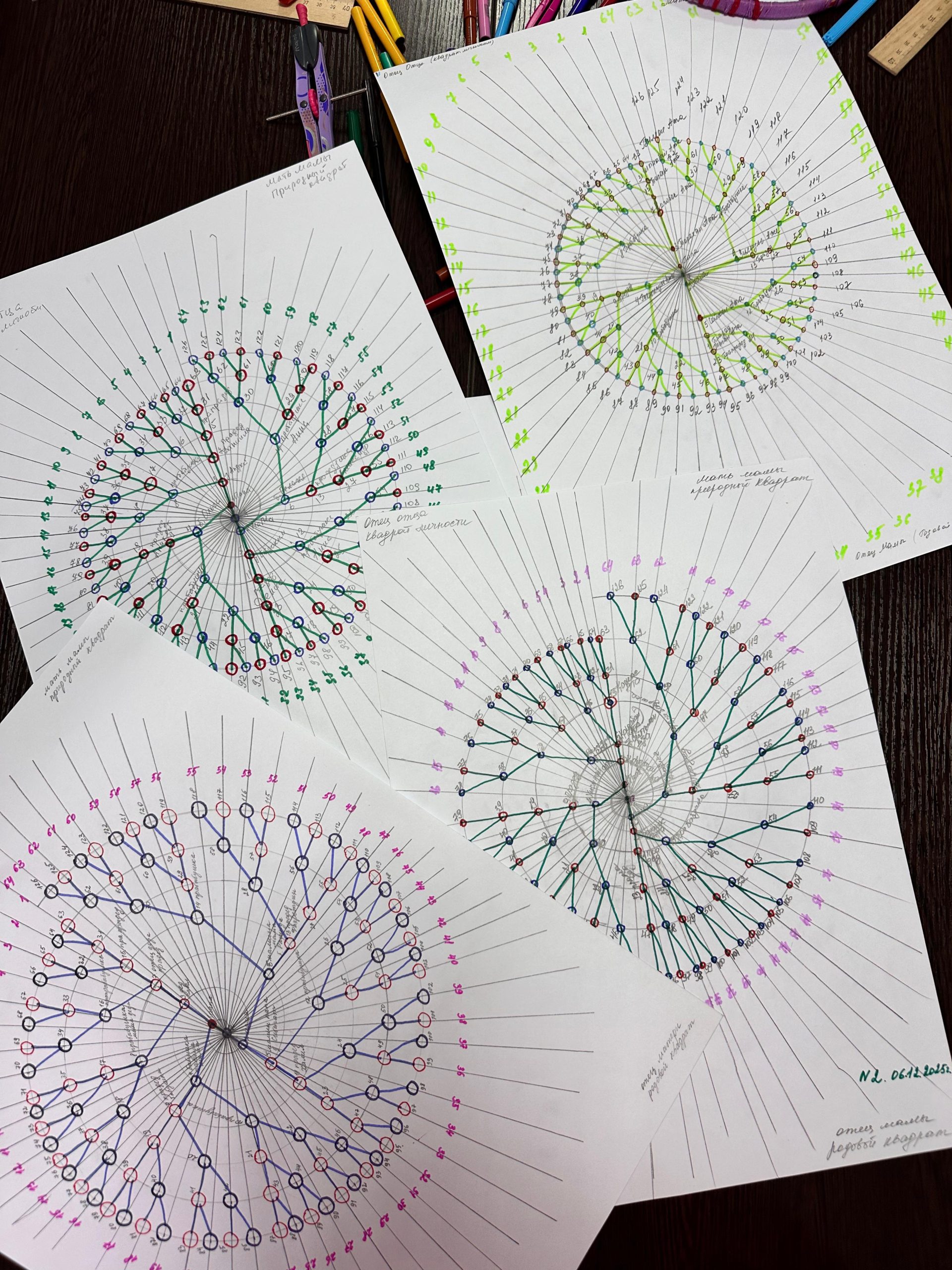 Нарисованные Родорады